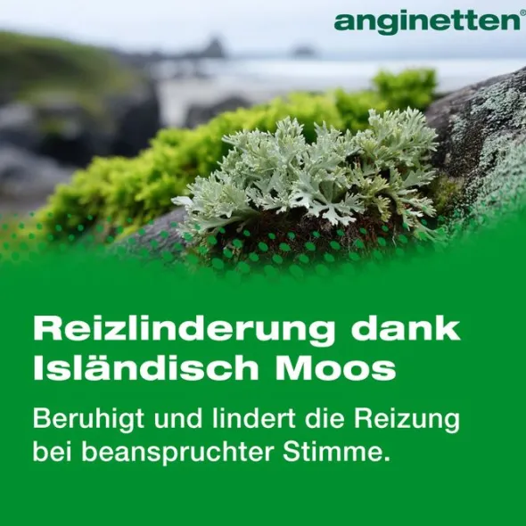 ANGINETTEN Stimme Lutschtabletten 24 St