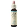 BACHBLÜTEN Beech Tropfen 20 ml
