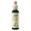 BACHBLÜTEN Centaury Tropfen 20 ml