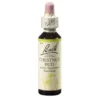 BACHBLÜTEN Chestnut Bud Tropfen 20 ml