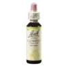 BACHBLÜTEN Clematis Tropfen 20 ml