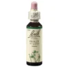 BACHBLÜTEN Holly Tropfen 20 ml