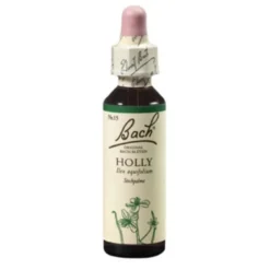 BACHBLÜTEN Holly Tropfen 20 ml