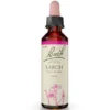 BACHBLÜTEN Larch Tropfen 20 ml