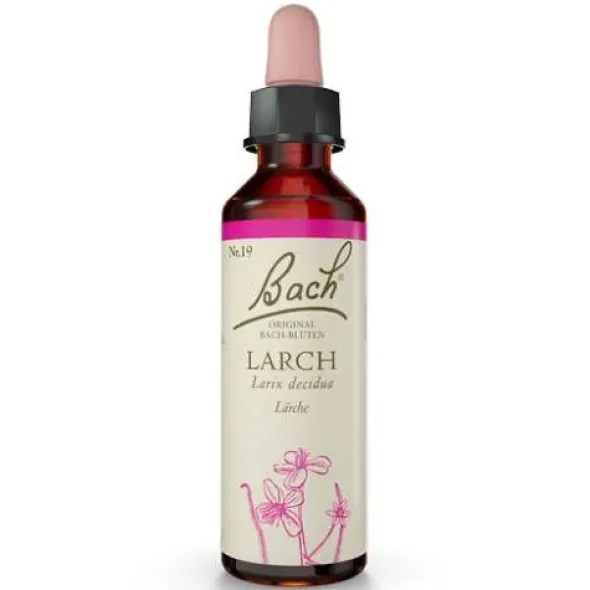 BACHBLÜTEN Larch Tropfen 20 ml