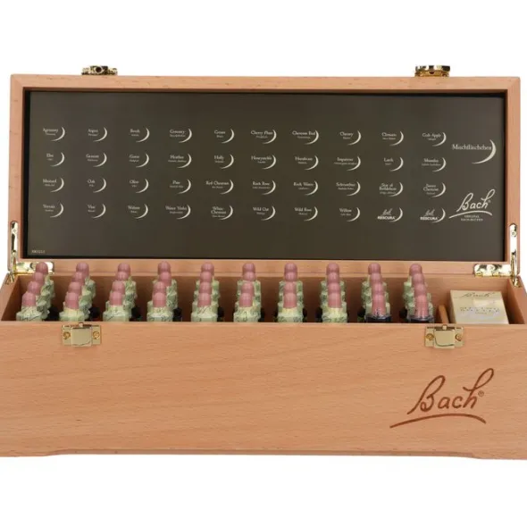 BACHBLÜTEN 20 ml Set Tropfen 800 ml