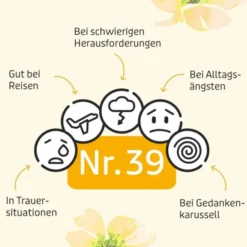 BACHBLÜTEN Murnauers Original Spray 20 ml