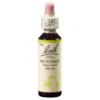 BACHBLÜTEN Mustard Tropfen 20 ml