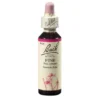 BACHBLÜTEN Pine Tropfen 20 ml