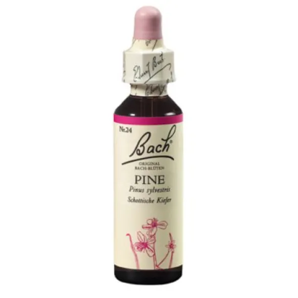 BACHBLÜTEN Pine Tropfen 20 ml