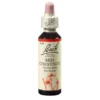 BACHBLÜTEN Red Chestnut Tropfen 20 ml