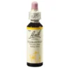 BACHBLÜTEN Scleranthus Tropfen 20 ml