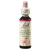 BACHBLÜTEN Star of Bethlehem Tropfen 20 ml