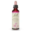 BACHBLÜTEN Sweet Chestnut Tropfen 20 ml