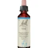 BACHBLÜTEN Vine Tropfen 20 ml