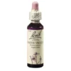 BACHBLÜTEN Water Violet Tropfen 20 ml