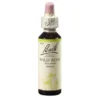 BACHBLÜTEN Wild Rose Tropfen 20 ml