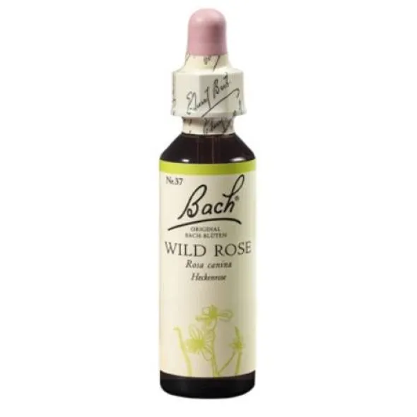 BACHBLÜTEN Wild Rose Tropfen 20 ml