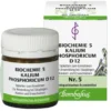 BIOCHEMIE 5 Kalium phosphoricum D 12 Tabletten 80 St