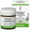 BIOCHEMIE 8 Natrium chloratum D 12 Tabletten 80 St