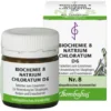 BIOCHEMIE 8 Natrium chloratum D 6 Tabletten 80 St