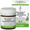 BIOCHEMIE 9 Natrium phosphoricum D 12 Tabletten 80 St