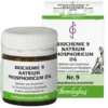 BIOCHEMIE 9 Natrium phosphoricum D 6 Tabletten 80 St