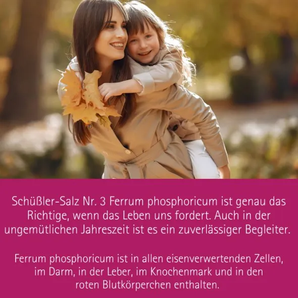 BIOCHEMIE Pflüger 3 Ferrum phosphoricum D 12 Tabl. 100 St