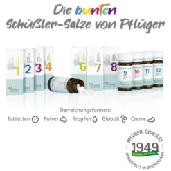 BIOCHEMIE Pflüger 4 Kalium chloratum D 6 Tabletten 400 St
