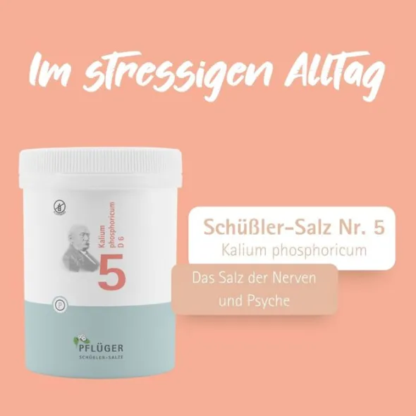 BIOCHEMIE Pflüger 5 Kalium phosphoricum D 6 Tabl. 1000 St