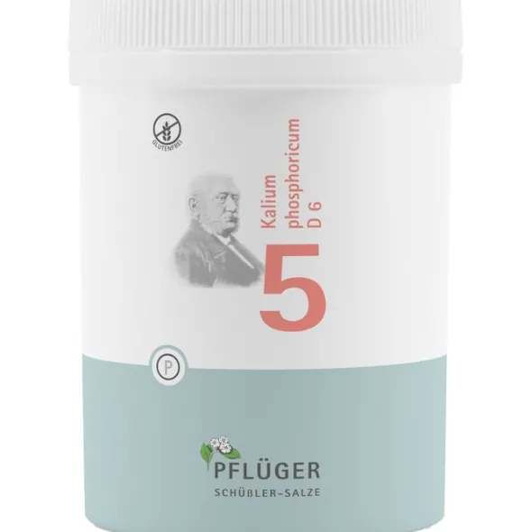 BIOCHEMIE Pflüger 5 Kalium phosphoricum D 6 Tabl. 1000 St