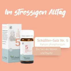 BIOCHEMIE Pflüger 5 Kalium phosphoricum D 6 Tabl. 100 St