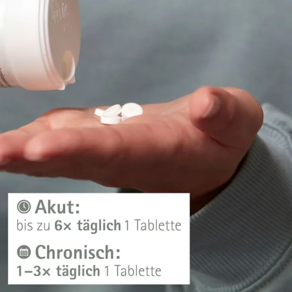 BIOCHEMIE Pflüger 5 Kalium phosphoricum D 6 Tabl. 100 St