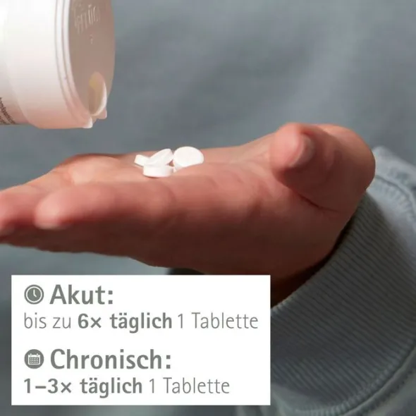 BIOCHEMIE Pflüger 7 Magnesium phosphoricum D 6 Tab 1000 St