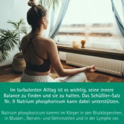 BIOCHEMIE Pflüger 9 Natrium phosphoricum D 6 Tabl. 1000 St