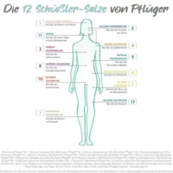BIOCHEMIE Pflüger 9 Natrium phosphoricum D 6 Tabl. 1000 St
