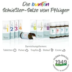 BIOCHEMIE Pflüger 9 Natrium phosphoricum D 6 Tabl. 1000 St