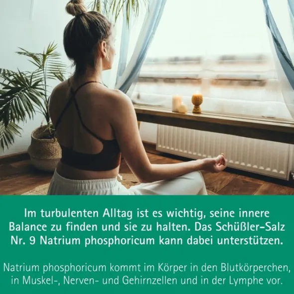 BIOCHEMIE Pflüger 9 Natrium phosphoricum D 6 Tabl. 400 St