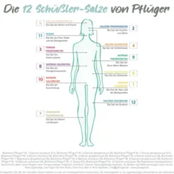 BIOCHEMIE Pflüger 9 Natrium phosphoricum D 6 Tabl. 100 St