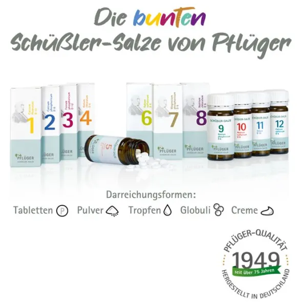 BIOCHEMIE Pflüger 10 Natrium sulfuricum D 6 Tabl. 100 St