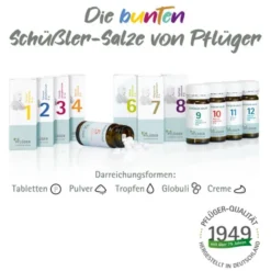 BIOCHEMIE Pflüger 11 Silicea D 12 Tabletten 100 St