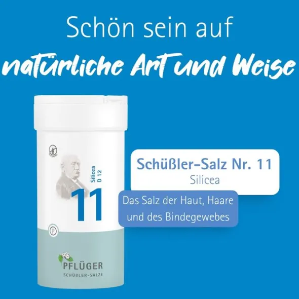 BIOCHEMIE Pflüger 11 Silicea D 12 Tabletten 400 St
