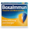 BOXAIMMUN Vitamine und Mineralstoffe Sachets 12X6 g