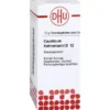 CAUSTICUM HAHNEMANNI D 12 Globuli 10 g