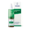 CHELIDONIUM AUGENTROPFEN Rh D 4 10 ml