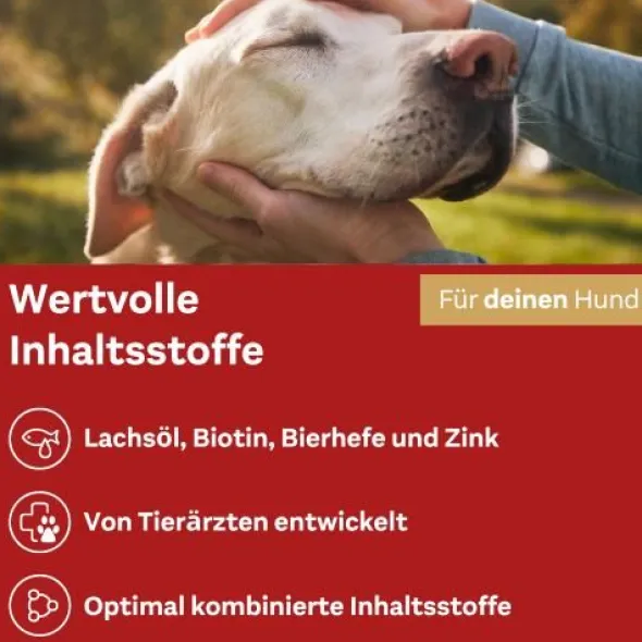 DOPPELHERZ für Tiere Haut&Fell Compl.Chews f.Hunde 60 St
