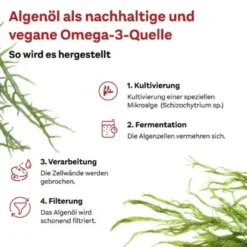 DOPPELHERZ Omega-3 pflanzlich system Kapseln 120 St