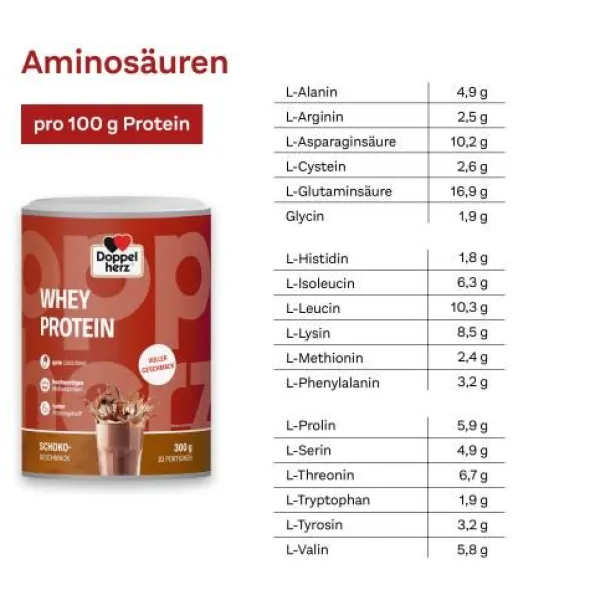 DOPPELHERZ Whey Protein Schoko-Geschmack Pulver 300 g