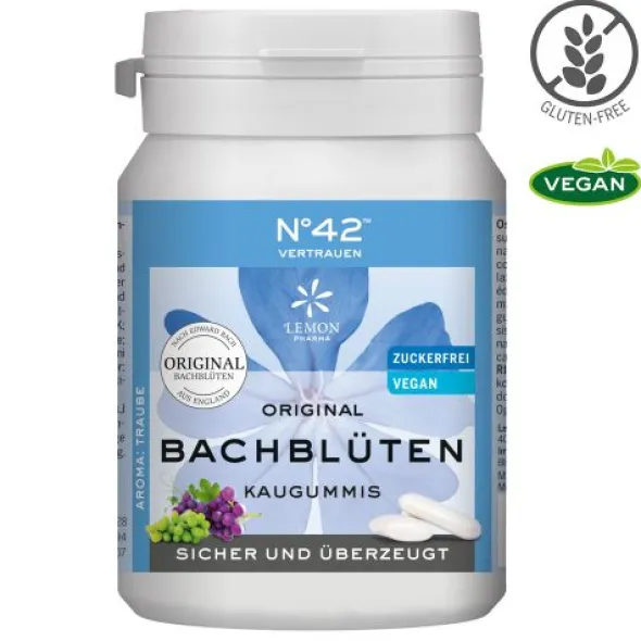 ENERGIE KAUGUMMI nach Dr.Bach 40 St