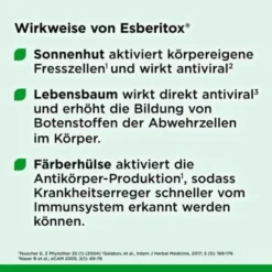 ESBERITOX 60 St